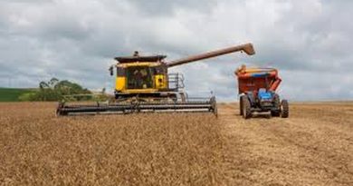 Produtores de soja buscam ampliar oferta de energia em Goiás
