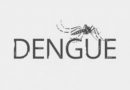 Brasil passa de 4 milhões de casos de dengue; mortes chegam a 1.937