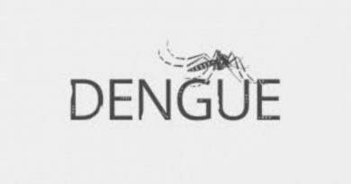 Em menos de duas semanas Silvânia registra 84 casos de dengue