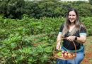 Produtoras de Gameleira de Goiás agregam valor à fruticultura e buscam novos mercados com produção de figos