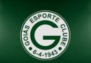 Goiás informa que cirurgia do goleiro Tadeu foi realizada com sucesso