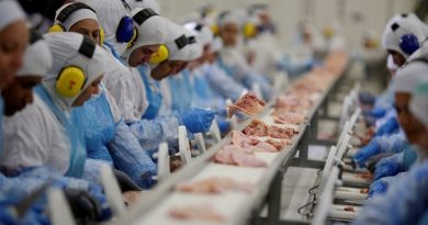 Doença de Newcastle: protocolos sanitários são cumpridos em SC