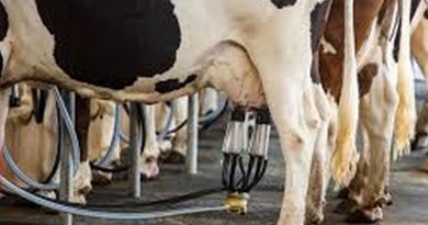 Queda no preço do leite e avanço das importações preocupam FAEG