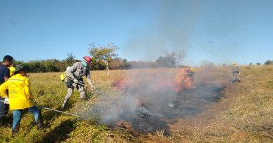 Projeto de universidade goiana usa tecnologia para detectar incêndios em tempo real no Cerrado