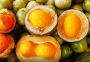 Pequi, baru e outros frutos do Cerrado movimentam negócios em Goiás Pequi, baru e outros frutos do Cerrado movimentam negócios em Goiás