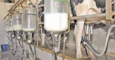 Cristóvão Tormin quer o reconhecimento de Orizona como “Capital do Leite”