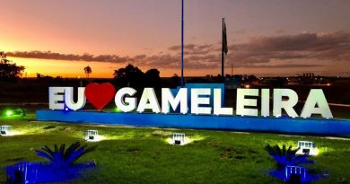 T R E mantém sentença do Juiz de Silvânia e determina recontagem de votos nas eleições de 2.024 para a Câmara de Vereadores de Gameleira de Goiás