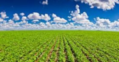 Câmara aprova urgência para projeto que atualiza marcos legais do seguro rural