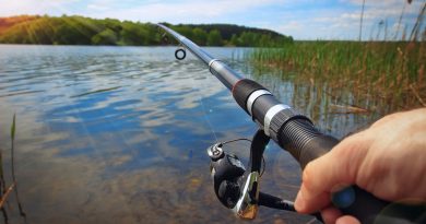 Abertura oficial da Temporada de Pesca em Goiás será nesta terça-feira