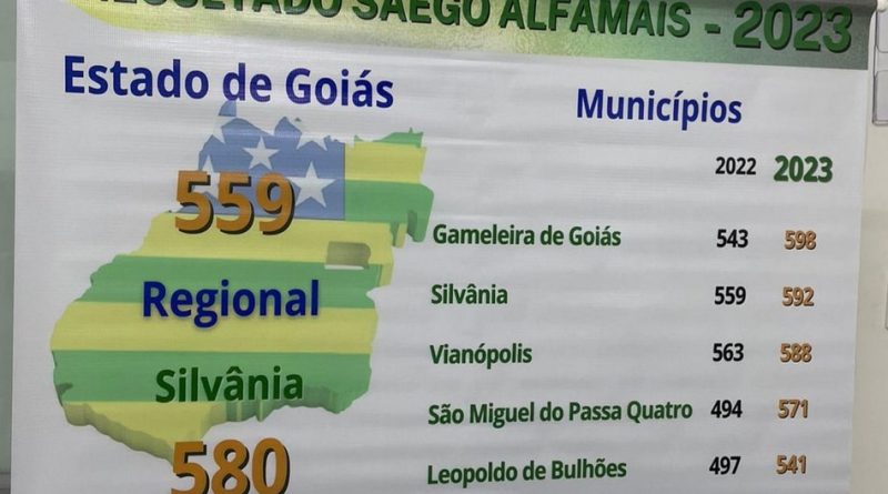 Escolas de Silvânia e Gameleira de Goiás são premiadas no Leia 2023