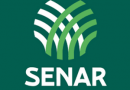 Senar Goiás apoia a reativação de Feira do Produtor Rural em Itapirapuã Senar Goiás apoia a reativação de Feira do Produtor Rural em Itapirapuã