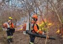 Governo de Goiás decreta emergência ambiental para reforçar prevenção à incêndios florestais