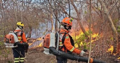 Operação reforça trabalho em parques de Goiás com foco na prevenção a incêndios florestais
