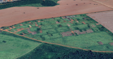 Vai começar instalação da rede de energia elétrica no Residencial Luiza Leal, em Silvânia