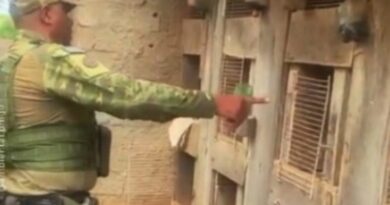 Homem é preso por maus-tratos a animais em cidade da Região da Estrada de Ferro