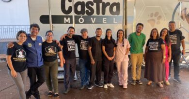 Mutirão de castração em Orizona ultrapassa R$ 120 mil em investimentos e atende mais de 200 animais em quatro dias