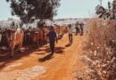 Produtora goiana lança série documental sobre a jornada dos carreiros de Orizona até Trindade
