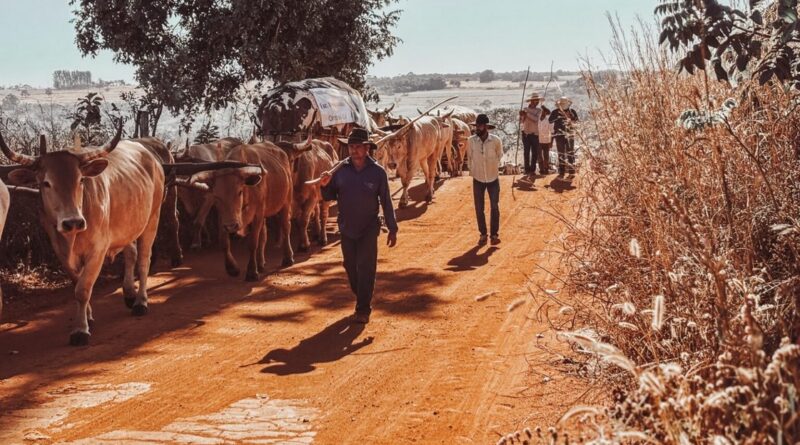 Produtora goiana lança série documental sobre a jornada dos carreiros de Orizona até Trindade