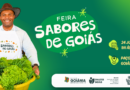 Silvânia, São Miguel do Passa Quatro, Bela Vista e Caldazinha estarão representadas na Feira Sabores de Goiás