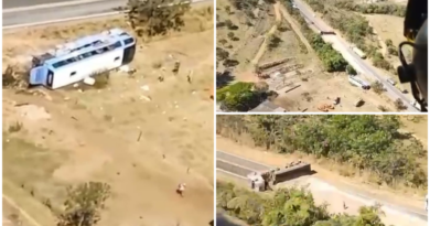Carreta envolvido em acidente que deixou 8 mortos entre Vianópolis e Luziânia estava a 120 km por hora, diz polícia